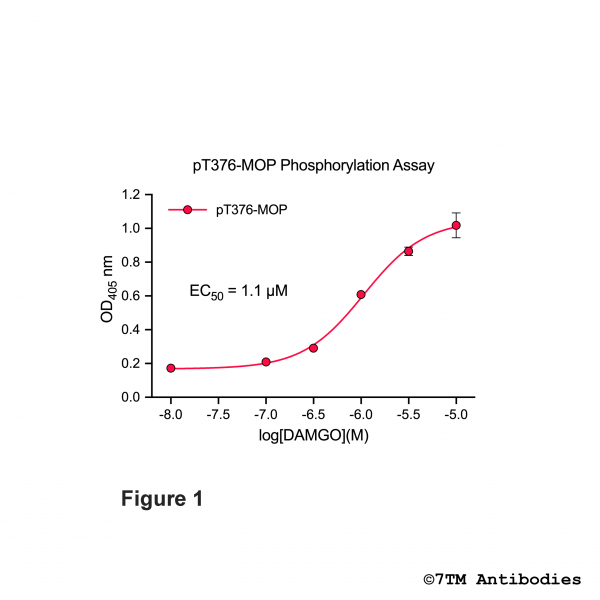 OD signals in pT376-MOP Phosphorylation Assay