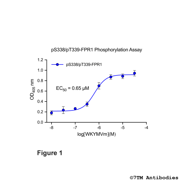 pS338/pT339-FPR1 Phosphorylation Assay Kit