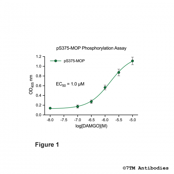 OD signals in pS375-MOP Phosphorylation Assay