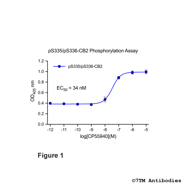 OD signals in pS335/pS336-CB2 Phosphorylation Assay