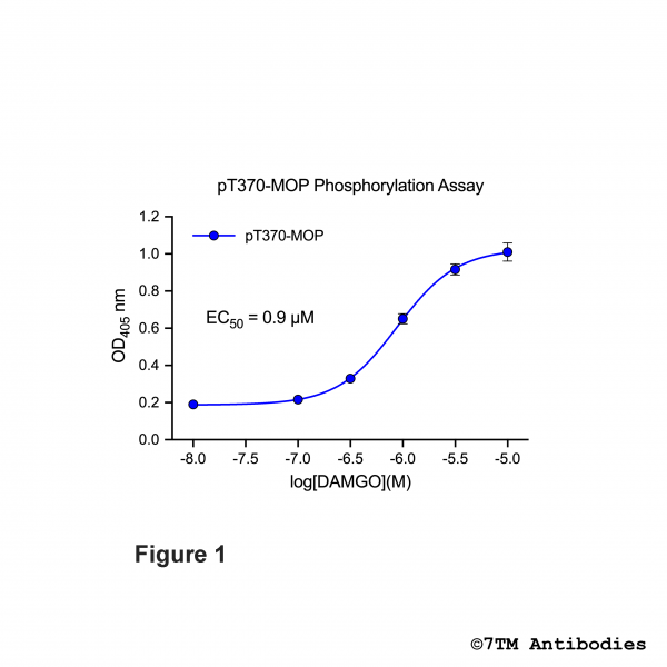 OD signals in pT370-MOP Phosphorylation Assay