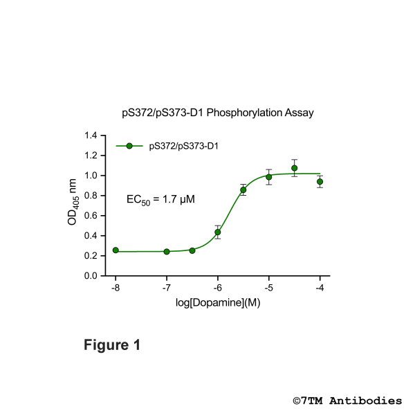 OD signals in pS372/pS373-D1 Phosphorylation Assay