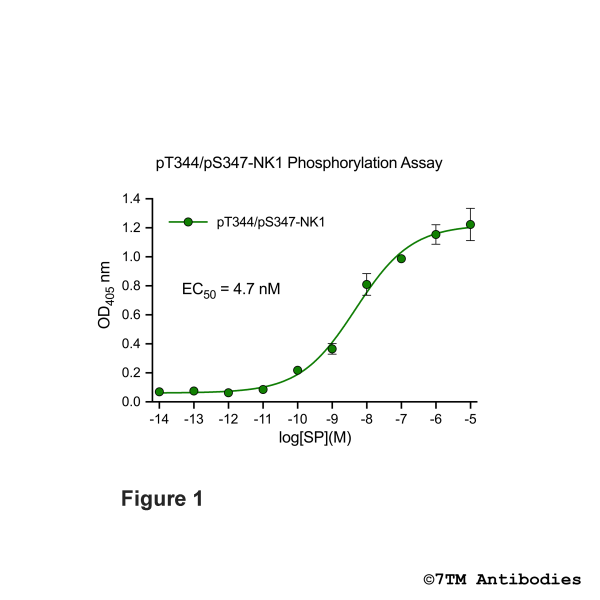 OD signals in pT344/pS347-NK1 Phosphorylation Assay