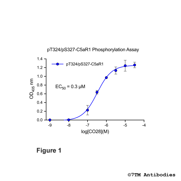 OD signals in pT324pS327-C5a1 Phosphorylation Assay