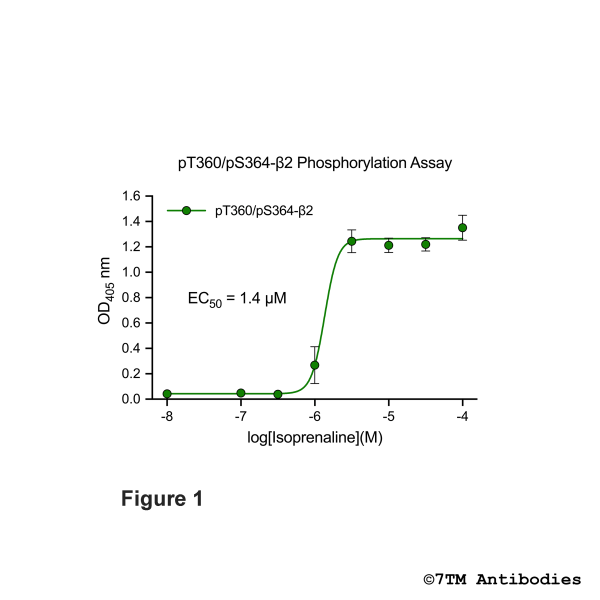 OD signals in pT360/pS364-β2 Phosphorylation Assay
