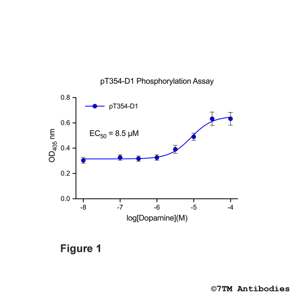 OD signals in pT354-D1 Phosphorylation Assay