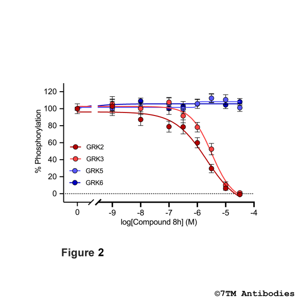 GRK Inhibitor Screening