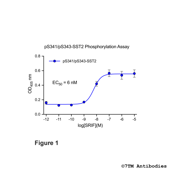 OD signals in pS341/pS343-SST2 Phosphorylation Assay