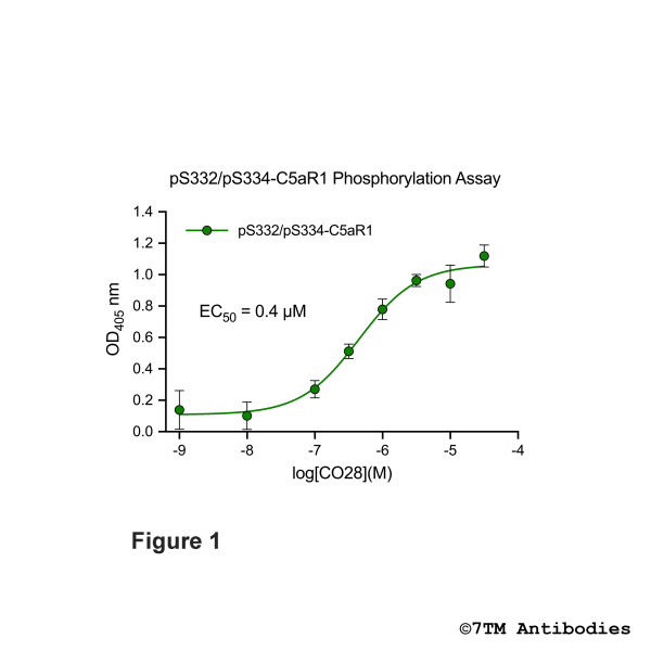 OD signals in pS332/pS334-C5a1 Phosphorylation Assay