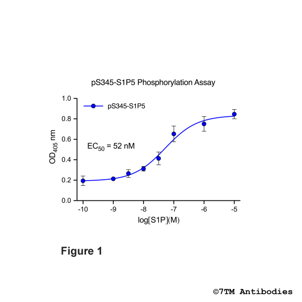 pS345-S1P5 Phosphorylation Assay Kit