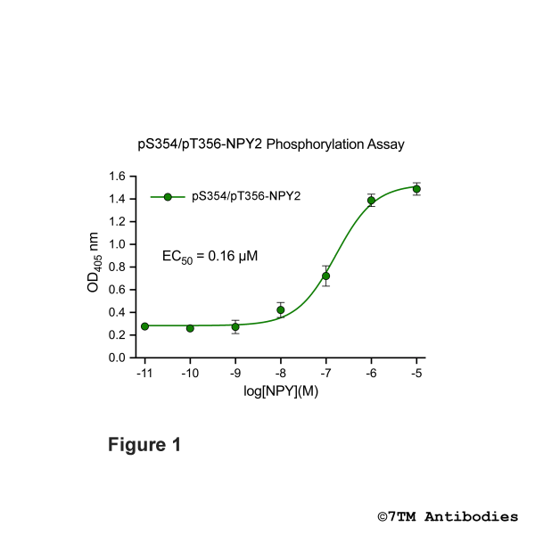 OD signals in pS354/pT356-NPY2 Phosphorylation Assay