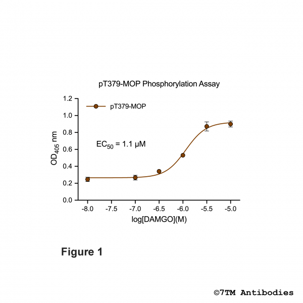 OD signals in pT379-MOP Phosphorylation Assay
