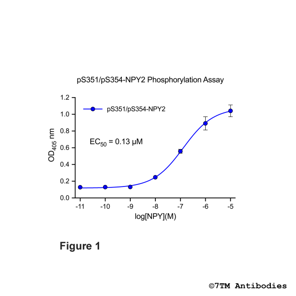 OD signals in pS351/pS354-NPY2 Phosphorylation Assay