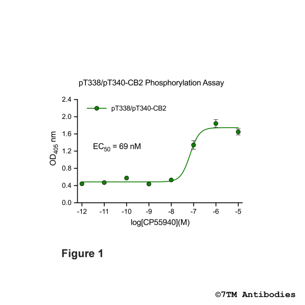 OD signals in pT338/pT340-CB2 Phosphorylation Assay