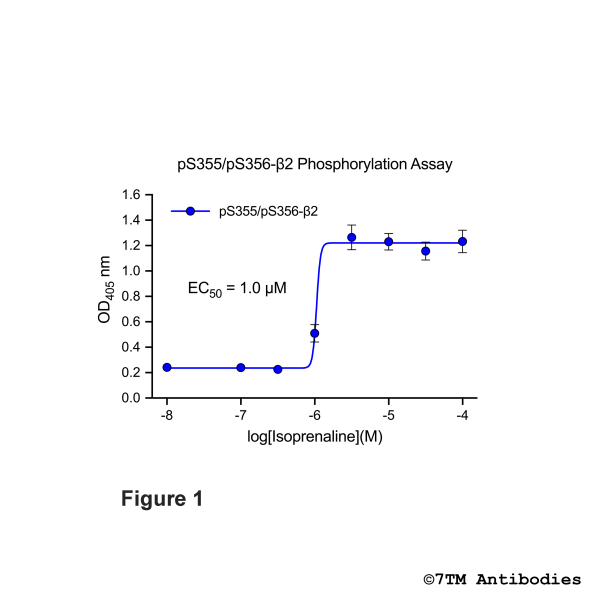 OD signals in pS355/pS356-β2 Phosphorylation Assay