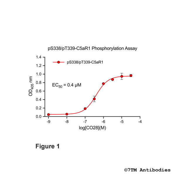 OD signals in pS338/pT339-C5a1 Phosphorylation Assay